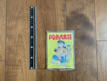 発送サイズ60　レターパックライト可