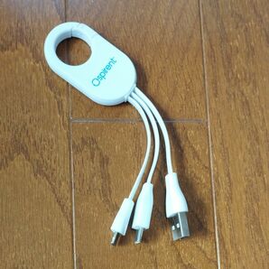USB Type C、ライトニング ケーブル