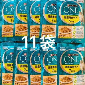 ピュリナ ワン キャットフード パウチ 健康寿命ケア 70g×11袋 キャットフード