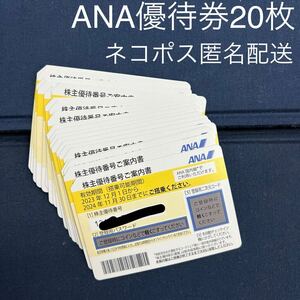 【最新】ANA株主優待　2024年11月期限　20枚セット