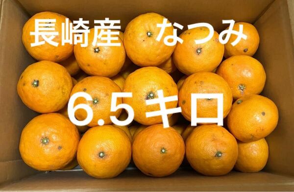 訳あり　長崎産　伊木力佐瀬みかん　なつみ　サイズ混合　約6.5キロ