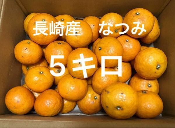 訳あり　長崎産　伊木力佐瀬みかん　なつみ　サイズ混合　5キロ