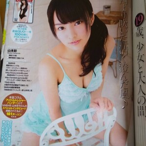 ヤングチャンピオン 2012.9.11 No.18 未使用HGクリアファイル付 切り抜きなし 山本彩 さや姉 NMB48 AKB48 の画像10