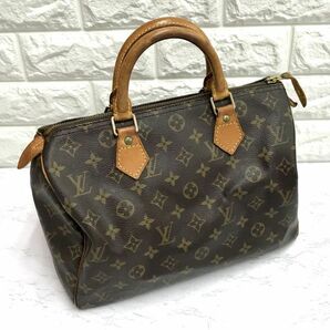 LOUIS VUITTON ルイヴィトン スピーディ30 M41108 ハンドバッグ ミニボストン 鞄 fah 4H517Sの画像1