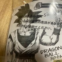 ドラゴンボール　30周年　鳥山明　一番くじ　ぬいぐるみ_画像2