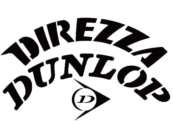 【DUNLOP DIREZZA】タイヤレター　(スプレー文字)タイヤ インチごとにサイズに合わせてオーダーメイド　DUNLOP MICHELIN PILLERI PZERO
