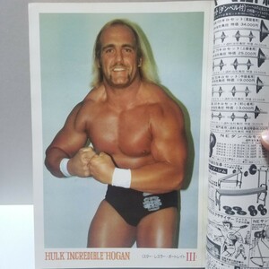 Hulk Hogan ハルク ホーガン プロレス ポートレイト 写真(検)ブロマイド ルーキー アンドレ アントニオ猪木 ゴング 