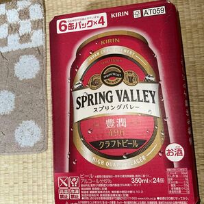 キリン スプリングバレー クラフトビール 生ビール 24本