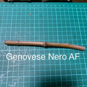 Genovese Nero AF 穂木 イチジク穂木 いちじく穂木 の画像1