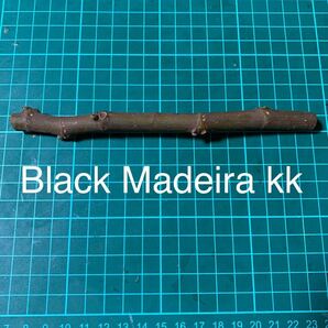 Black Madeira kk 穂木 いちじく穂木 イチジク穂木 の画像1