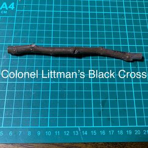 Colonel Littman’s Black Cross穂木 イチジク穂木 いちじく穂木 の画像1
