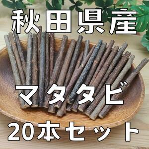 秋田県産 またたび20本超セット[ マタタビ]防腐剤不使用・天然モノ