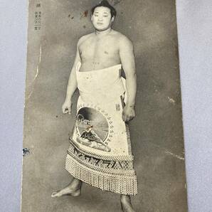 大相撲 力士 ブロマイド 5枚 幡瀨川・双葉山・大潮・武藏山・綾昇 プロマイドの画像5