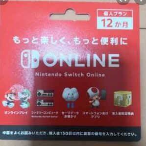 ニンテンドースイッチオンライン Nintendo Switch Online 12ヶ月 利用券 個人プラン