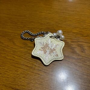 4℃キーホルダー