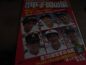 輝け甲子園の星1986年NO.5 第68回全国高校野球選手権　天理優勝