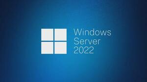 Windows Server 2022 Standard 正規品プロダクトキー 純正リテールRetail製品版ライセンス認証コード ダウンロード版サーバーOSソフト