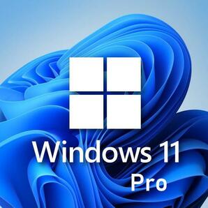 Windows11 ProダブルOSソフトウェア旧型落ち古いPC導入Win10&11切替可能DVD&USB不要インストールTPM2.0回避プロダクトキー付アップグレードの画像1