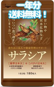 【新品】サラシア一年分サプリメント 送料無料（ゆうパケ）【サラシア＋菊芋＋バナバ】血糖値・ダイエット肥満・痩せ・糖質12ヵ月分