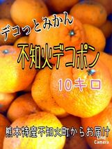 熊本県産 不知火、デコポン 10kg 家庭用_画像1