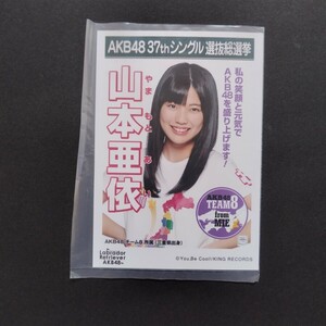 AKB48 生写真 劇場盤 ラブラドール・レトリバー 山本亜依