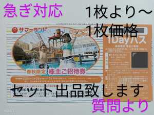 急ぎ対応■春秋限定東京サマーランド 1Dayパス　パスポート■出品数量1枚～9枚 b