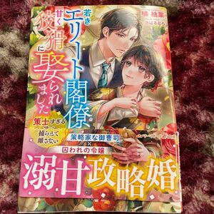 若きエリート閣僚に甘く狡猾に娶られました　策士すぎる彼は最愛の妻を捕らえて離さない （マーマレード文庫　タ３－０６） 橘柚葉／著