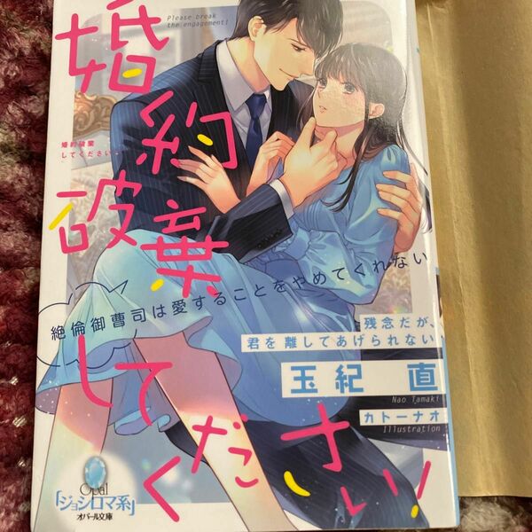 婚約破棄してください！　絶倫御曹司は愛することをやめてくれない （オパール文庫） 玉紀直／著