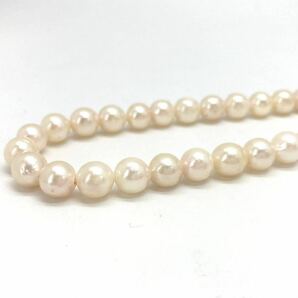 「アコヤ本真珠ネックレスおまとめ」a約113g 約7.5-8mmパール pearl necklace accessory jewelry silver DA0の画像4