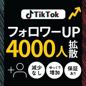 本物のTikTok多国籍フォロワー4000人増やします★拡散サービス SNS 収益化 増加 フォロ爆 露出アップ 人気 伸ばす