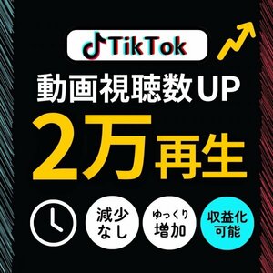 プロ技★本物のTikTok再生数2万回増加★拡散サービス SNS 収益化 増加 フォロ爆 露出アップ 人気 伸ばす