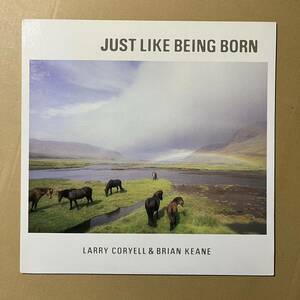 美盤 / LARRY CORYELL＆BRIAN KEANE JUST LIKE BEING BORN ラリー・コリエル　