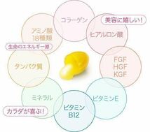 プラセンタ100 チャレンジパック 10袋 銀座ステファニー化粧品 プラセンタ サプリメント_画像4