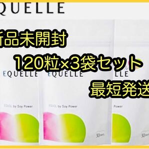 【新品未開封】エクエルパウチ 120粒 3袋セット（エクエル パウチ）