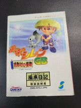  不思議のダンジョン 風来のシレンGB 月影村の怪物 gb ゲームボーイ 説明書 説明書のみ Nintendo ハガキ付き_画像1