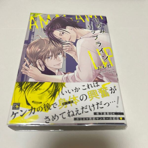 BL 4069 甘咬みリップライン…よも灯