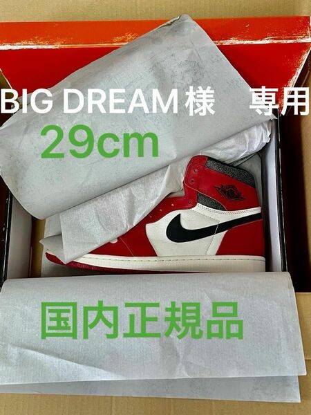 NIKE AIR JORDAN 1 Chicago 29cm