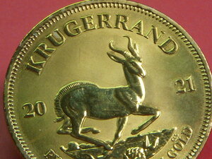 o. from Crew Galland gold coin Krugerrand 2021 year issue. gold coin ( gilding ) south Africa reference beautiful goods case less 