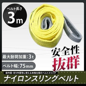 【本格】ナイロンスリングベルト 3t 3m 幅75mm 荷重3000kg ベルトスリング 玉掛け 吊上げ ロープ 牽引 運搬 移動 安全性抜群!!