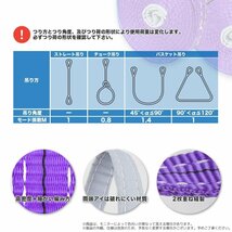 全国一律【送料無料】ナイロンスリングベルト 1m 幅25mm 荷重1000kg 1ｔ ベルトスリング 【2本入り】玉掛け 吊上げ ロープ 牽引 運搬 移動_画像3