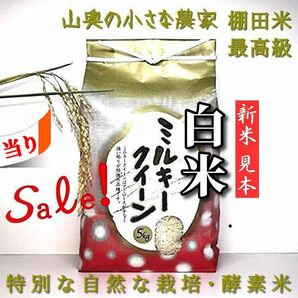 【超希少】ミルキークイーン　酵素米　玄米 ５ｋｇ「標準白米に精米」棚田米　新米　米　無洗米　コシヒカリ　つや姫　ミルキークィーン