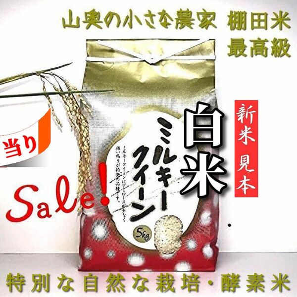 【超希少】ミルキークイーン　酵素米　玄米 ５ｋｇ「標準白米に精米」棚田米　新米　米　無洗米　コシヒカリ　つや姫　ミルキークィーン