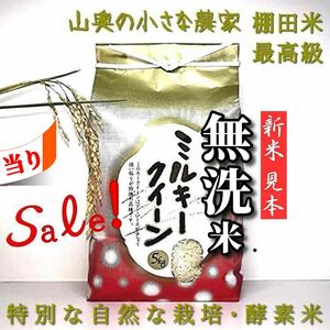 【超希少】ミルキークイーン　酵素米　玄米 ５ｋｇ「無洗米に精米」棚田米　新米　米　無洗米　コシヒカリ　つや姫　ミルキークィーン