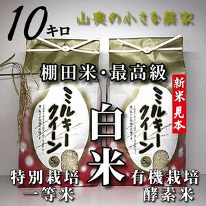 【超希少】ミルキークイーン　酵素米　玄米１０ｋｇ「標準白米に精米」棚田米　新米　米　無洗米　コシヒカリ　つや姫　ミルキークィーン