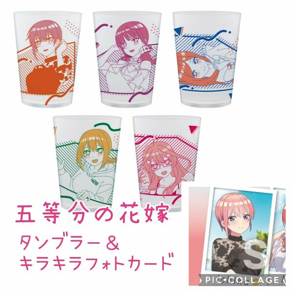 ■新品【五等分の花嫁／一番くじ】タンブラー、５種類、コンプ、中野一花、中野二乃、中野三玖、中野四葉、中野五月、キラキラフォトカード