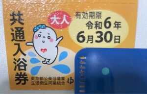 東京都 銭湯 共通入浴券 6枚セット