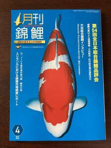 月刊錦鯉24年4月号おまけつき