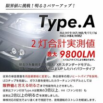 LED 信玄 XR H8 H9 H11 H16兼用 8000lm 簡単取付 31800cd ヘッドライト フォグ 3000K 4300K 6500K 8000K 10000K 車検対応 12V 24V 2年保証_画像7