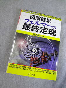 図解雑学 フェルマーの最終定理 富永裕久　美品