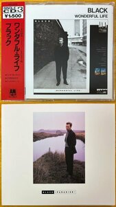 ◎BLACK (Colin Vearncombe) MAXI-CD2枚 ①Wonderful Life 国内盤(帯付) ②Paradise 英国盤【 A&M D15Y3200/AMCD 422 】1988/1/21&87年発売